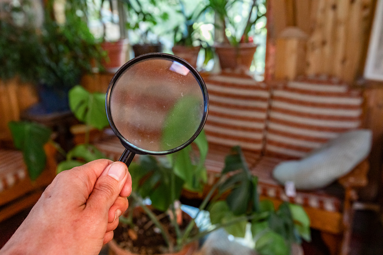 Indoor damp & air quality (IAQ) testing.